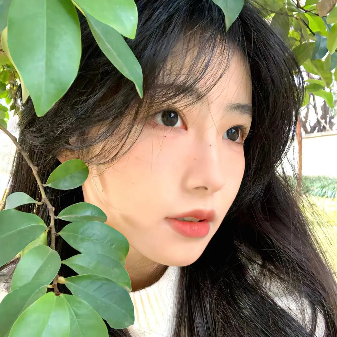 安妮回忆录